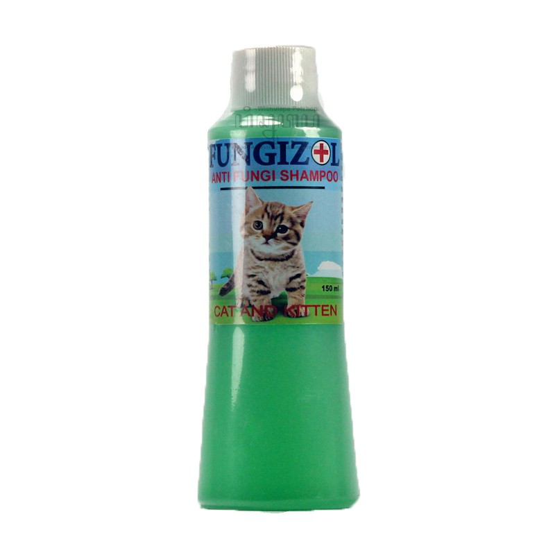 Sampo Kucing Anti  Jamur  Fungizol Cat  Shampoo Shopee 