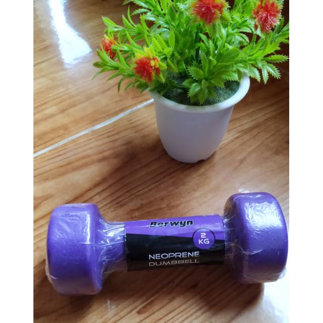 DUMBBELL BERWYN