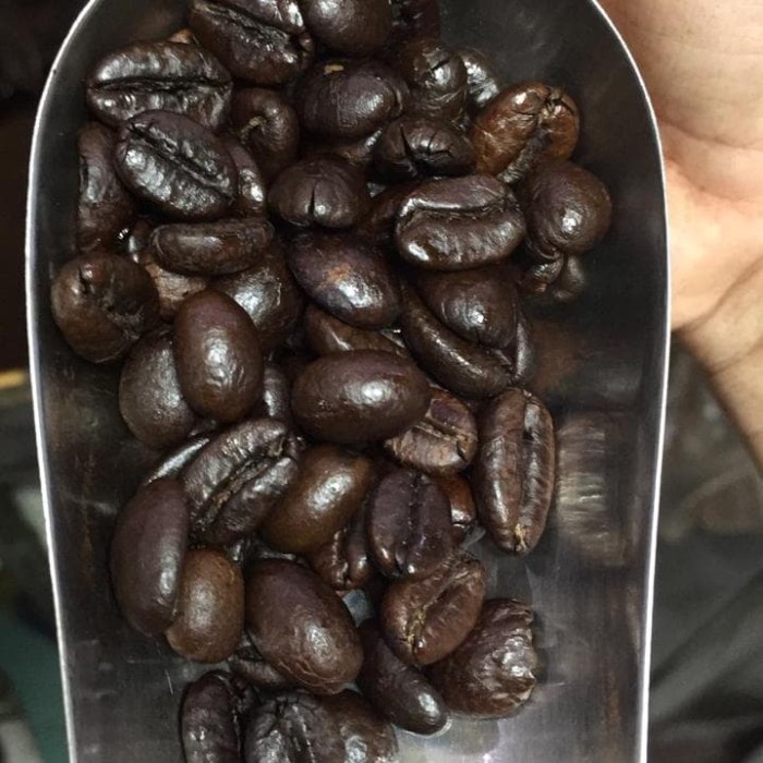 

Ds0Ds1D Vkoffie Roasted Bean Robusta Sidikalang 550Gr - Biji Ds20X11
