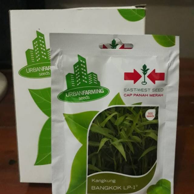 Bibit Kangkung Bangkok LP-1