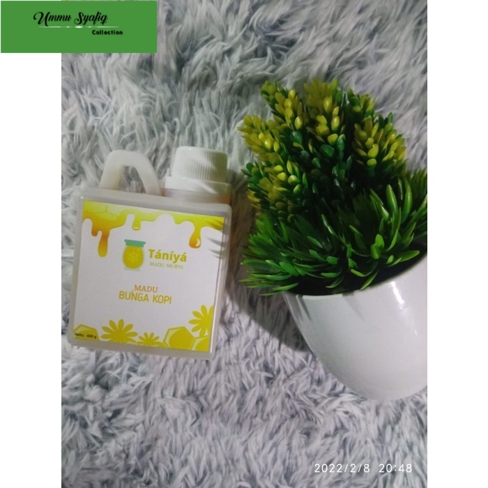 

Madu Murni Taniya Asli Nektar Bunga Kopi - 500gr