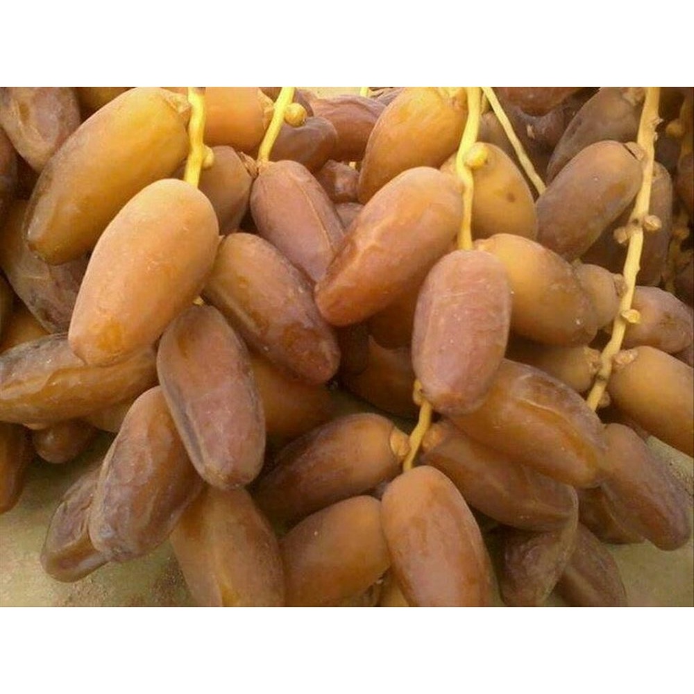 kurma tangkai 1kg KEMASAN PLASTIK PREES/tunisia /palm tunis/kurma palm tangkai exp 2025