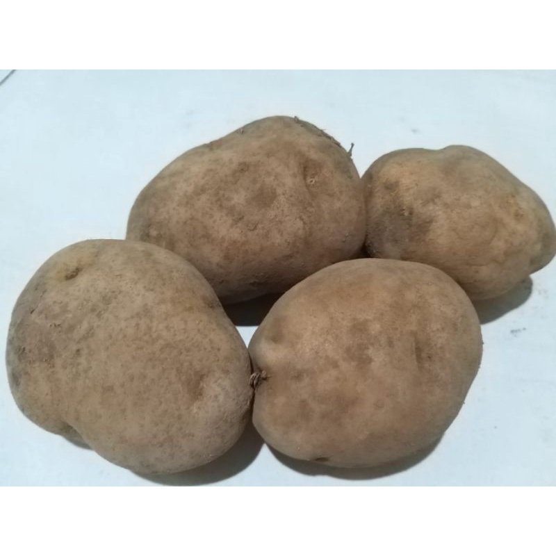 

KENTANG DIENG 500 GRAM