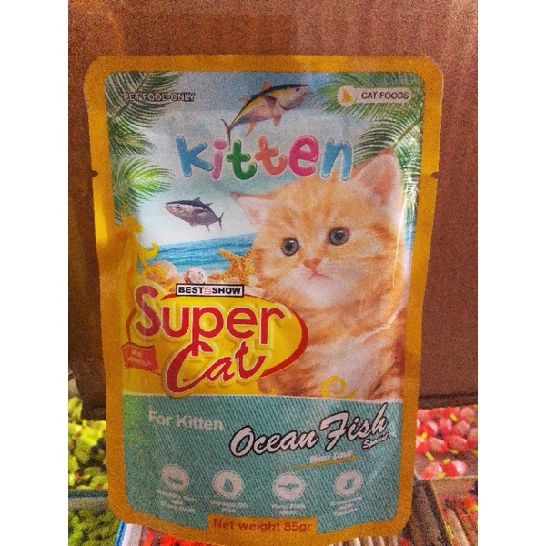 Super cat wet food kitten ocean fish
