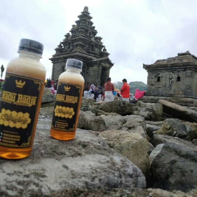 

Madu murni untuk daya tahan tubuh