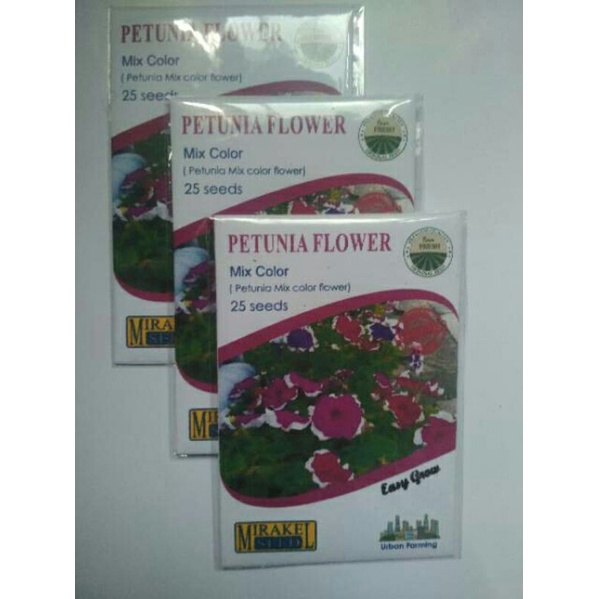 Benih bunga petunia/petunia flower