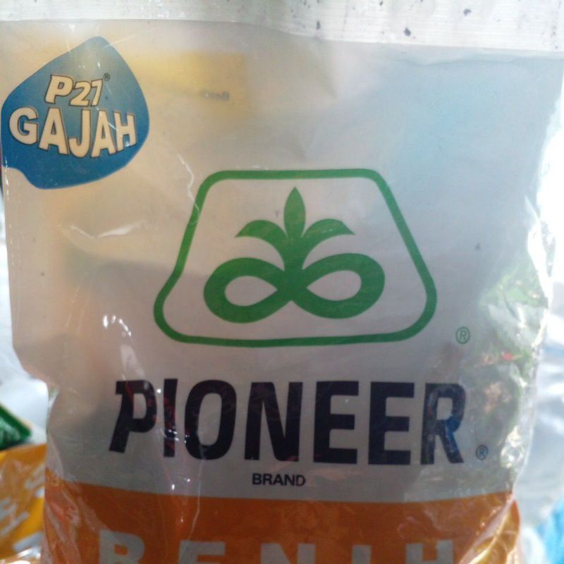 benih jagung P27 extra