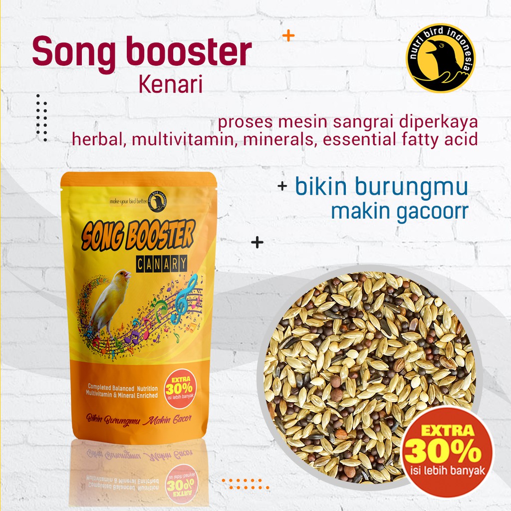 Pakan Gacor Song Booster Kenari