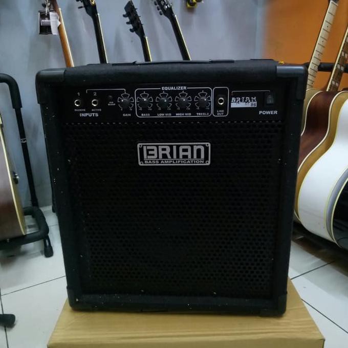 Brian Ampli Gitar & Bass 10 Inch 2 Input