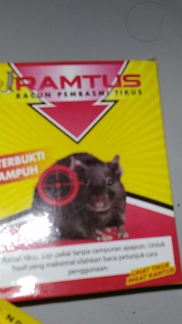 Ramtus Racun Tikus Ampuh Mati Kering Tidak Bau Pembasmi Curut Wirog Mencit Dirumah Di Mobil 5 Pack