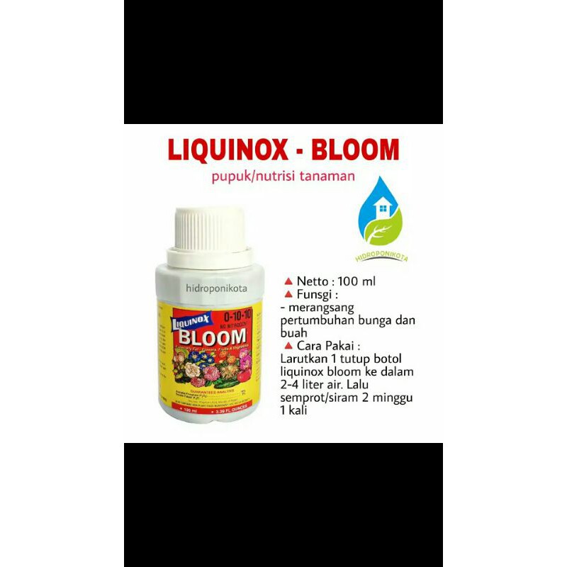 bloom pupuk cair perangsang buah bunga