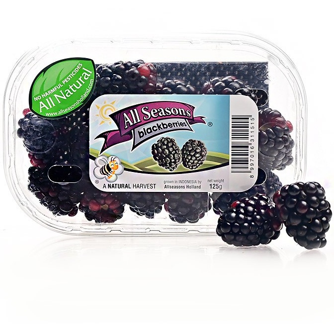 

Blackberry All Seasons
