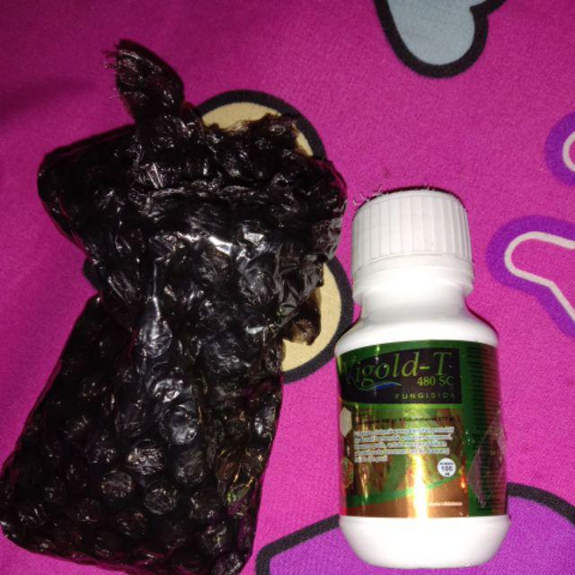 Fungisida / Pembasmi Penyakit Tanaman Vigold-t 480sc 100ml