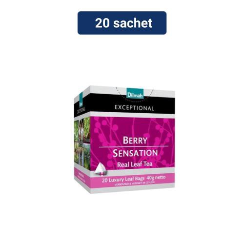 

Dilmah Exceptional Berry Sensation Tea 20 Leaf Tea Bags