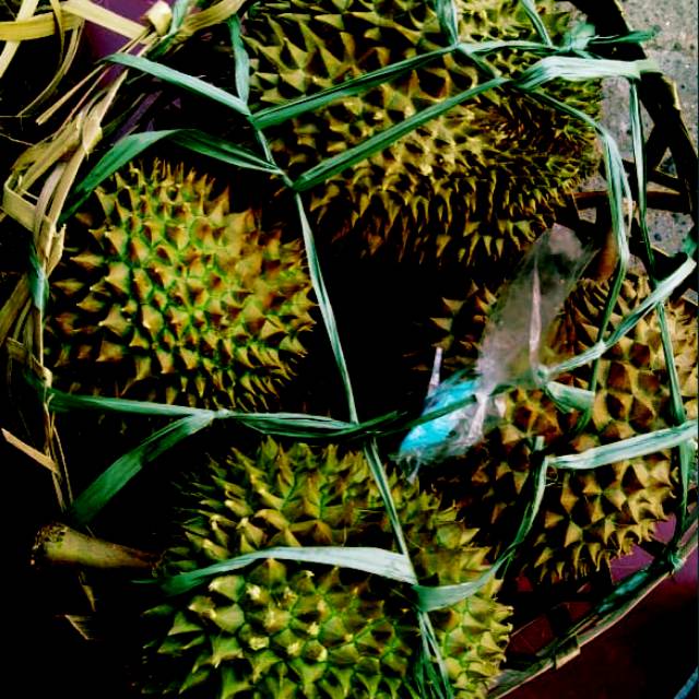 

Durian murah meriah mantulll