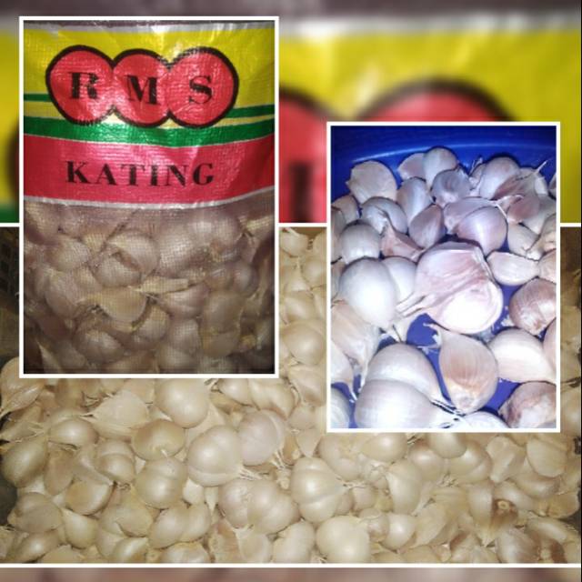 

Bawang Putih Kating/kg Bersih Great Quality