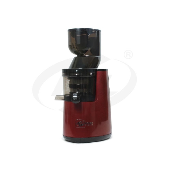 HL Slow Juicer Mesin Pelumat HS605 HS 605