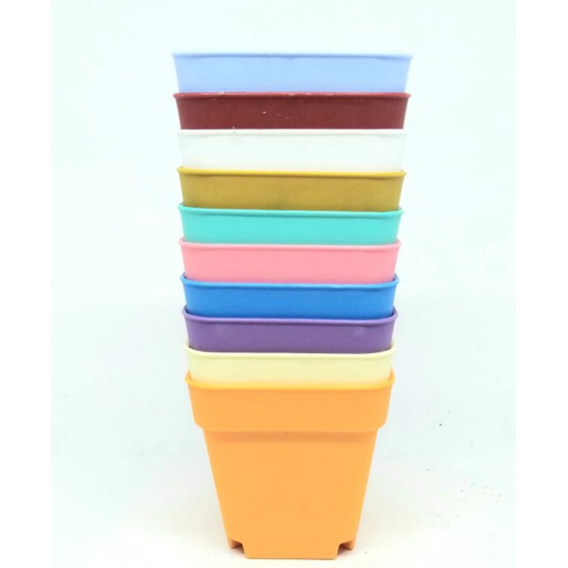 Pot Kaktus Mini Kotak Warna Warni 8cm