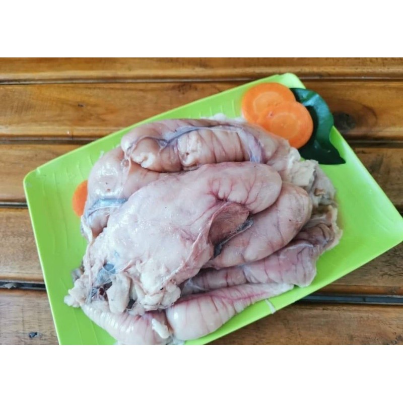 

Telor Kakap TERLARIS