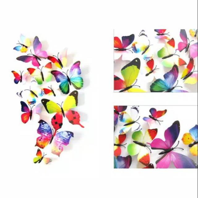 

Stiker 3D kupu2