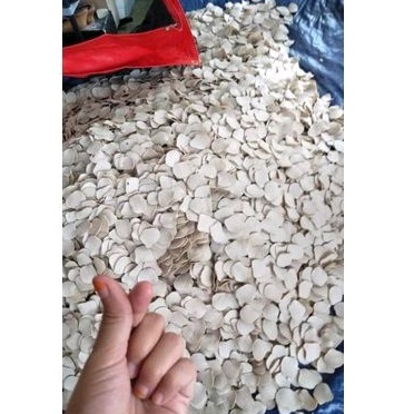 

KRUPUK IKAN SIDAYU GROSIR 5KG