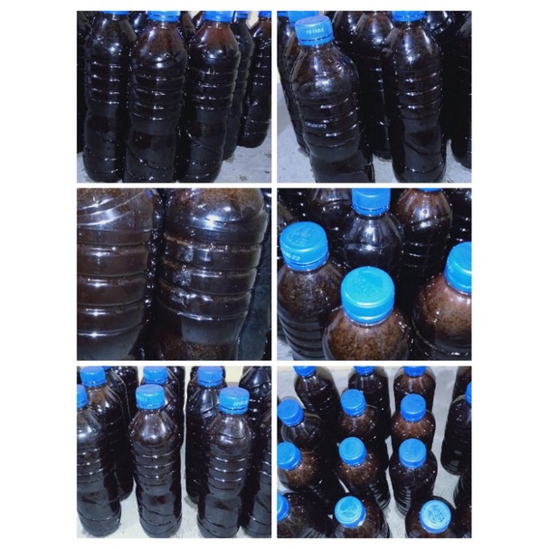 Molase Tetes Tebu Probiotik Untuk Ternak