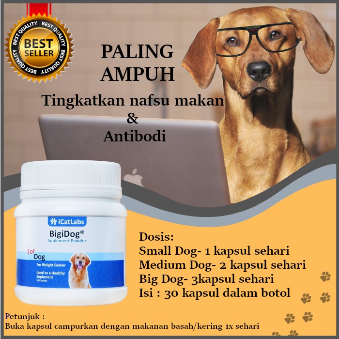Bigidog Vitamin Anjing Dog Food Penggemuk Anjing Makanan Obat Anjing Makanan penambah Nafsu Makan