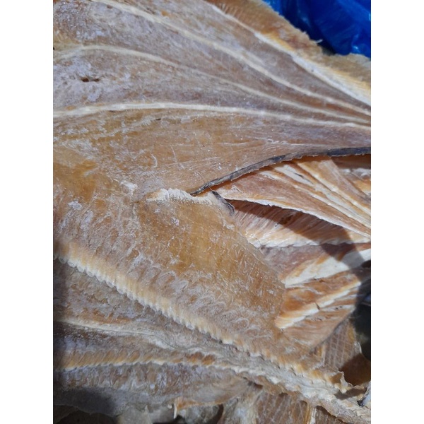 

Ikan Pari Tipis 250 gr