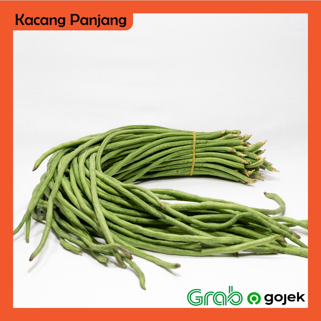 

Kacang Panjang 500 gram