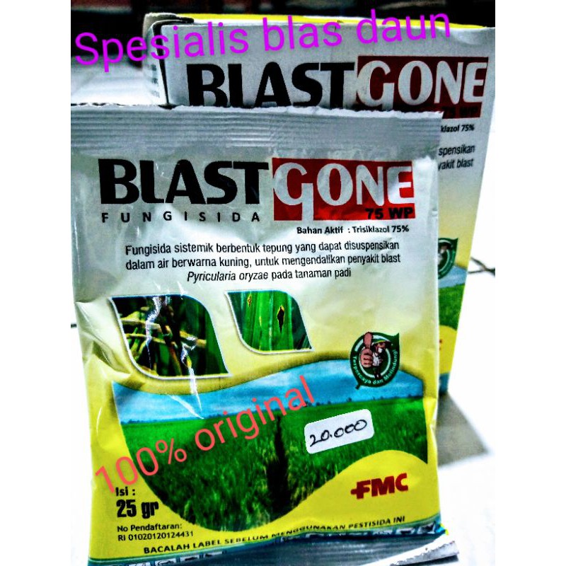 Fungisida Blast Gone 25gr