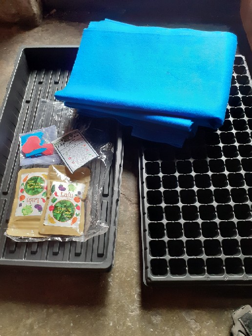 Paket 2pcs Nampan Alas Tray + 2pcs Tray Semai 128 Lubang