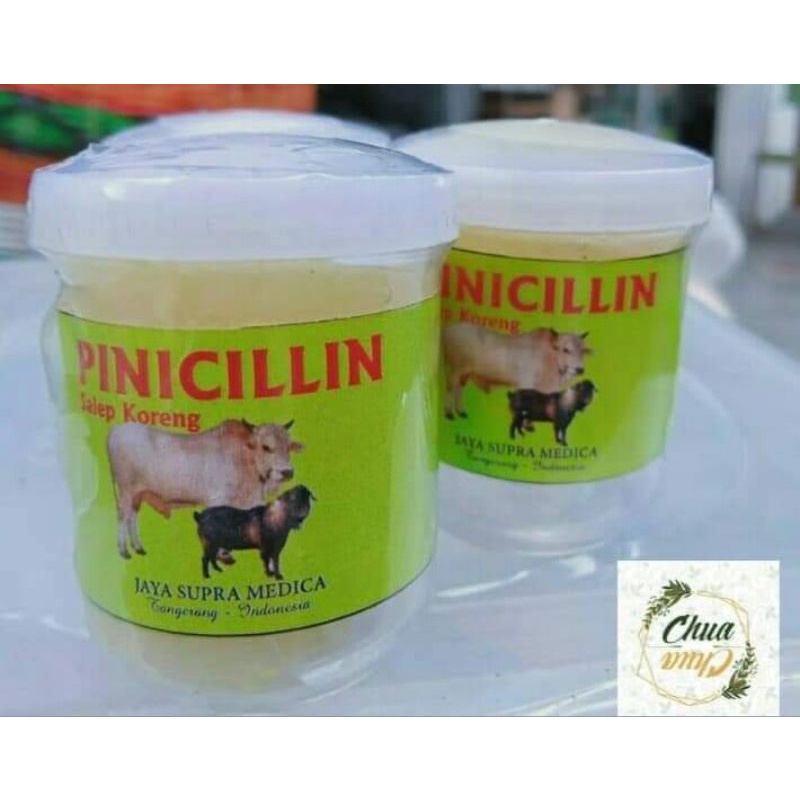 Pinicilin Salep-obat kudis, scabies, gudik borok, anti lalat sapi, kambing, kelinci, kuda, kerbau , kucing dan anjing