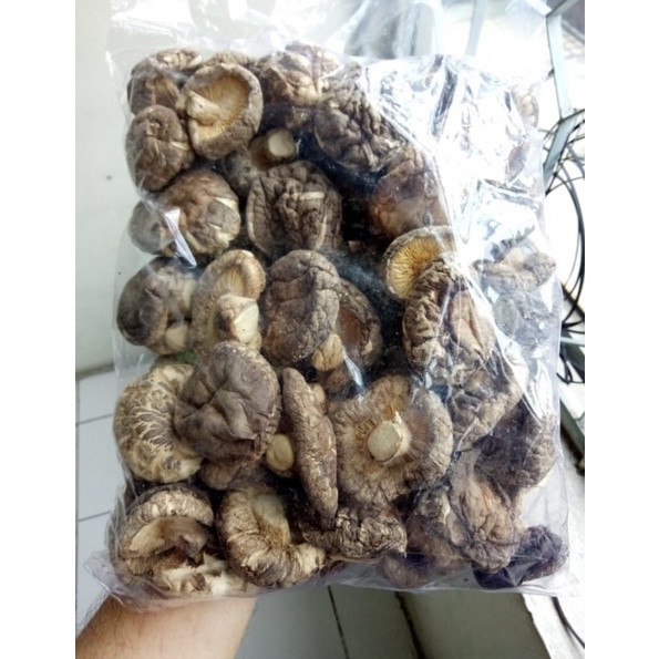 

Jamur Hioko / jamur Shitake 250 Gram