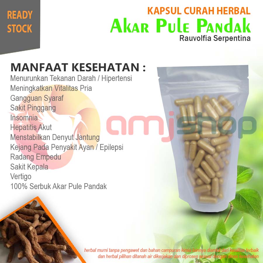 

Kapsul curah herbal akar pule pandak kapsul herbal hipertensi gangguan syaraf sakit pinggang
