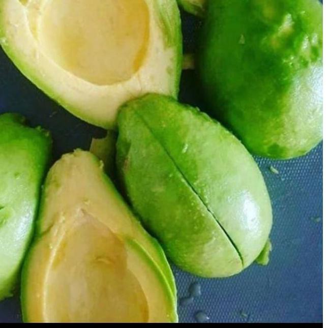 

Gratis Ongkir!! (ifc-1272) PROMO ❗❗ BUAH ALPUKAT MENTEGA TER ENDULLL 1 KG TURUN HARGA