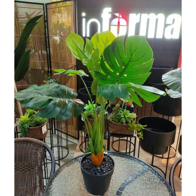 Monstera artificial dengan pot original by informa. Monstera Informa