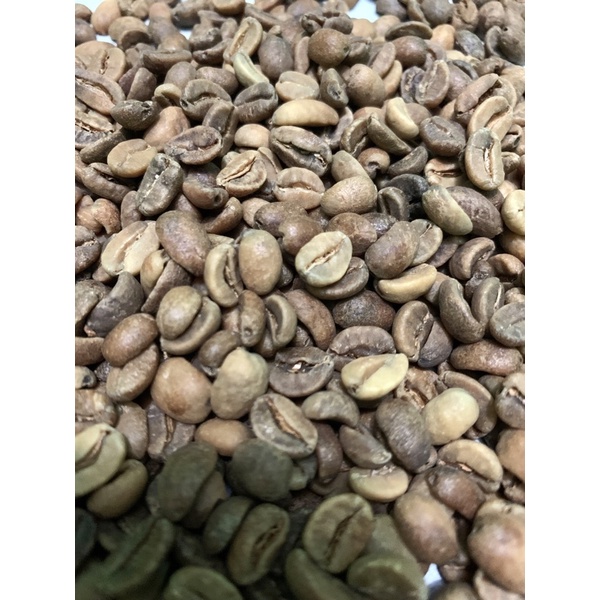 

kopi gayo jenis wine