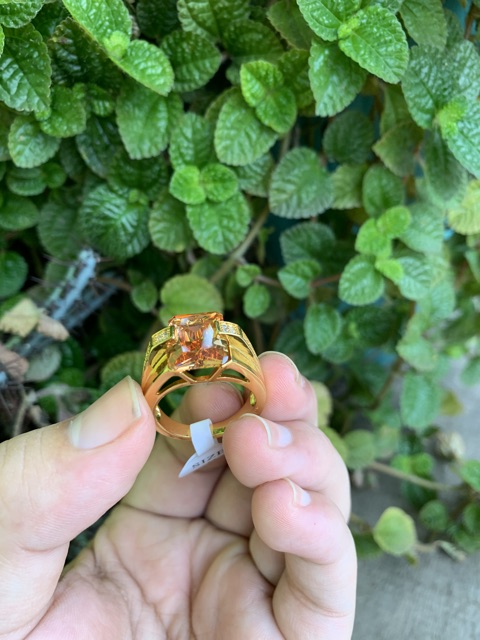 Cincin Pria Mewah Batu Kecubung Teh Smoky Quartz Champagne Kantoran Ring Gold Filled