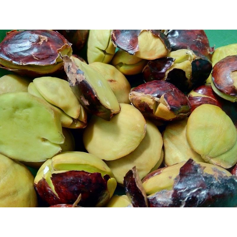 

Jengkol kupas || 500 gram, 1 kg