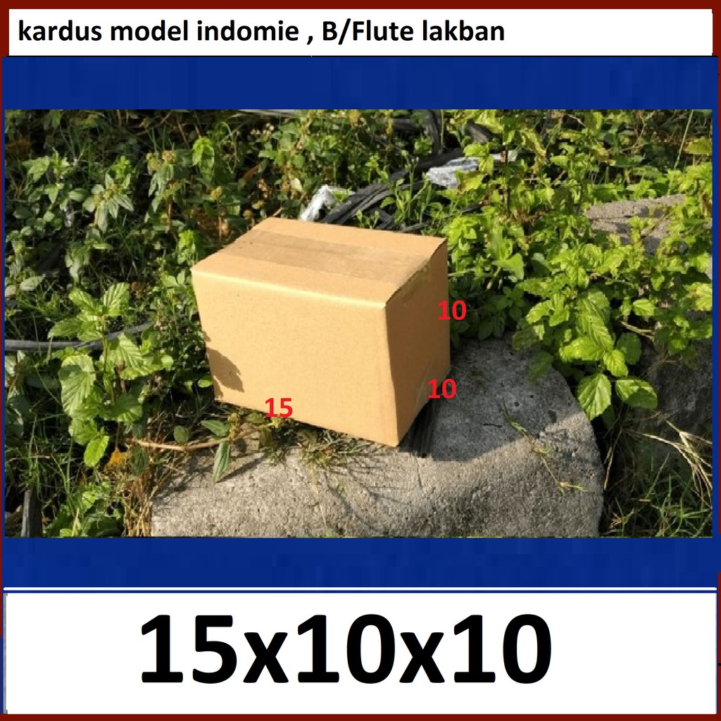 

Kardus 15x10x10 cm IND