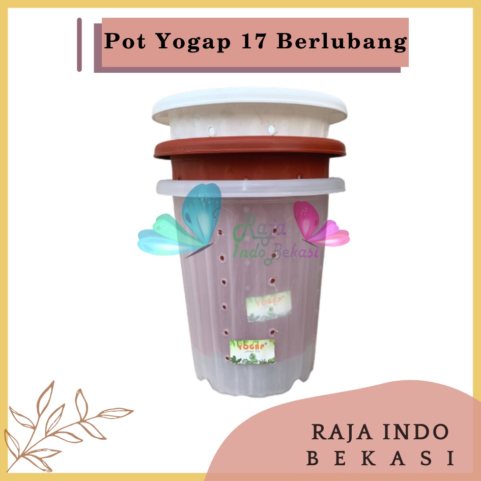 Pot Yogap 17 Putih Bening Transparan Merah Bata Merah Coklat Terracota Terracotta Berlubang POT BUNGA YOGAP 17 DIAMETER 20cm BERLUBANG