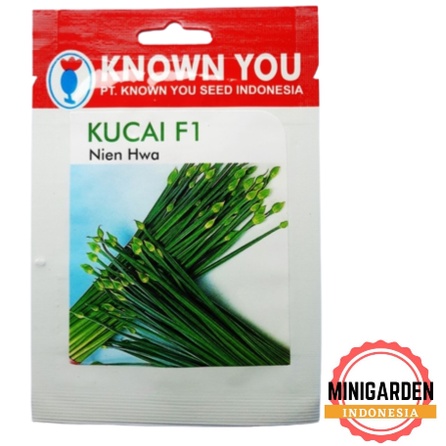 KUCAI NIEN HWA 80 BIJI PACK KECIL benih Daun Bawang F1 unggul Known You Seed bibit tanaman sayur sayuran