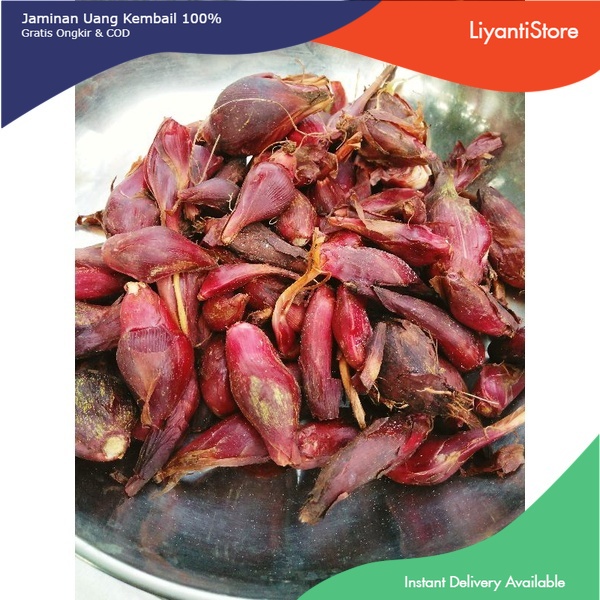 

promo Herbal Bawang bawang berlian mengobati kanker jantung diabetes 250gr