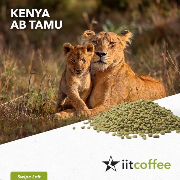 

Arabica Green Beans - Kenya AB Tamu Washed 1 Kg