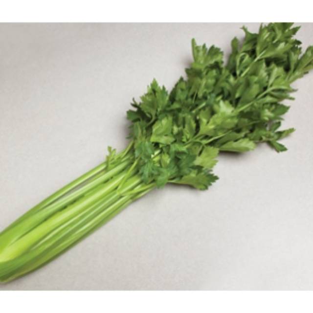 

Seledri stik / seledri jepang /500gr sayur antik fresh, murah dengan kualitas terjamin