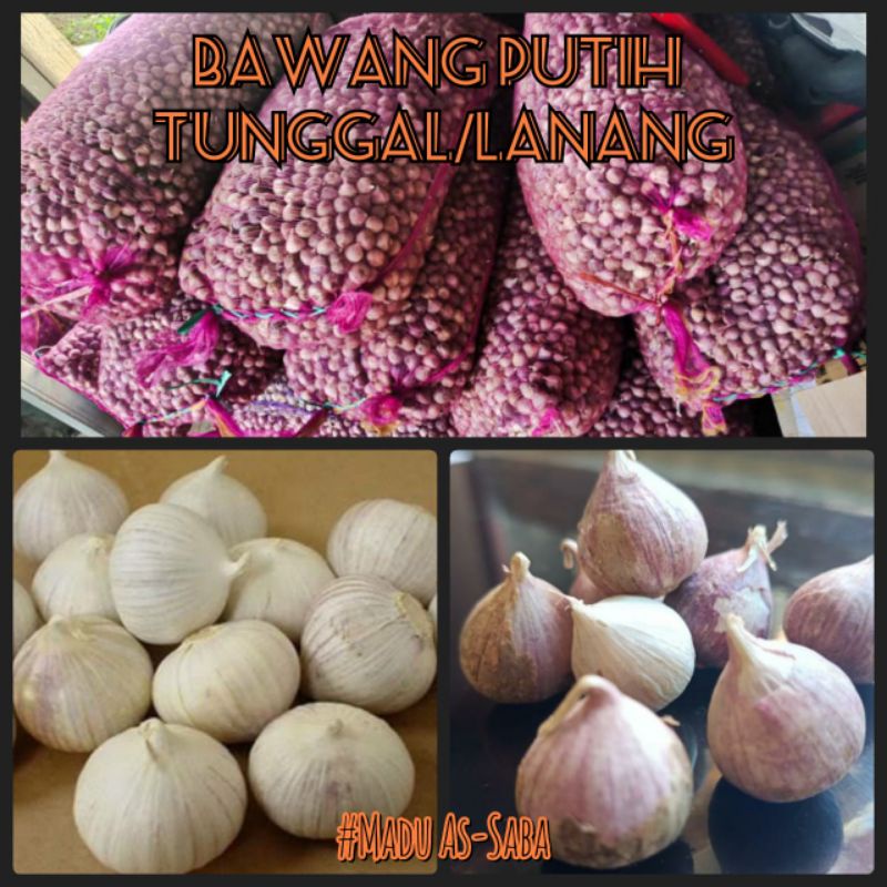 

Bawang Putih Tunggal 250gram