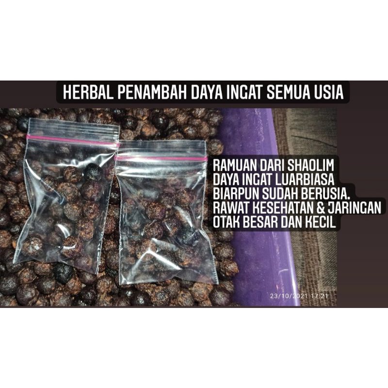 

Cegah Dini Ramuan Herbal Penguat Daya Ingatan Otak Penyakit Demensia/Suka Lupa DHA Naik