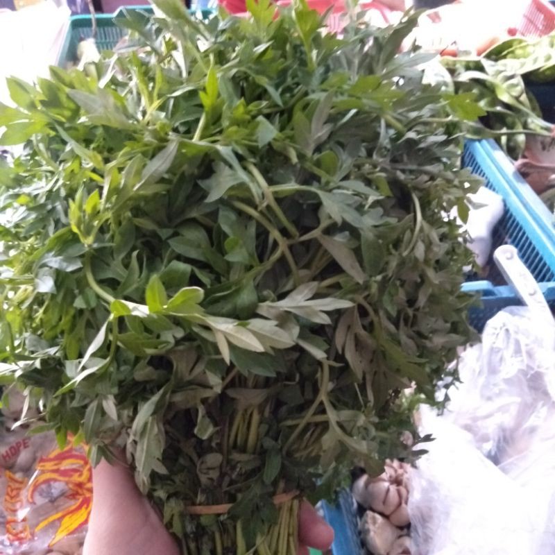 Sayuran Daun Kacang, Daun Pepaya Jepang, Daun Genjer dan Kenikir