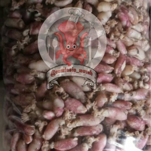 

TERMURAH Baby Cumi Medan Kering Grade A Murah