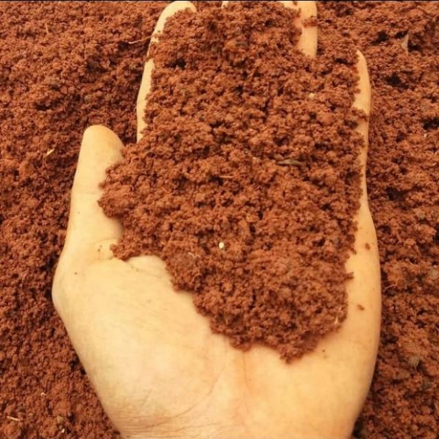 

Tanah merah kemasan 1kg